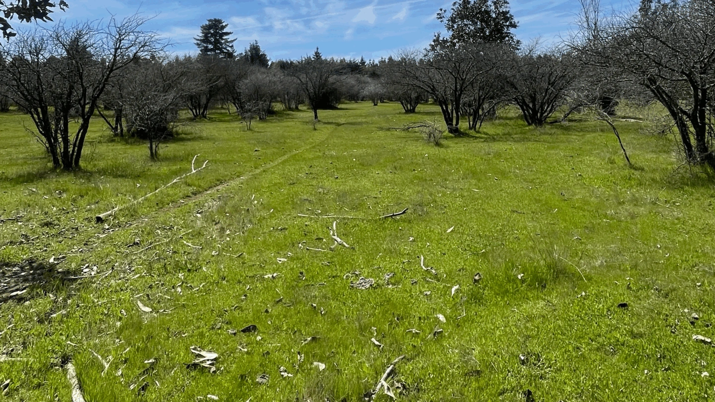 Portada de Hacienda San Nicolás