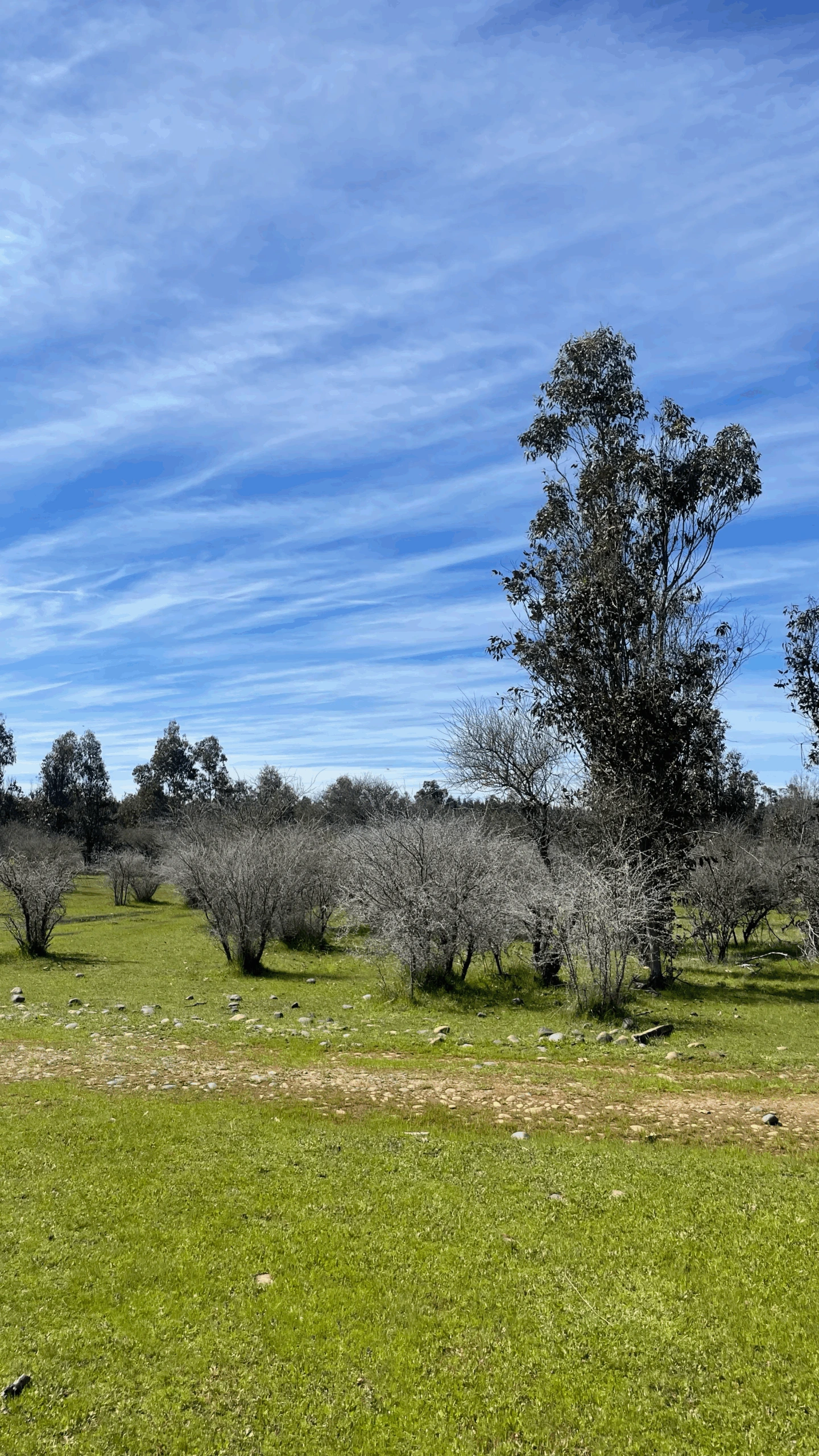 Hacienda San Nicolas - imagen 5