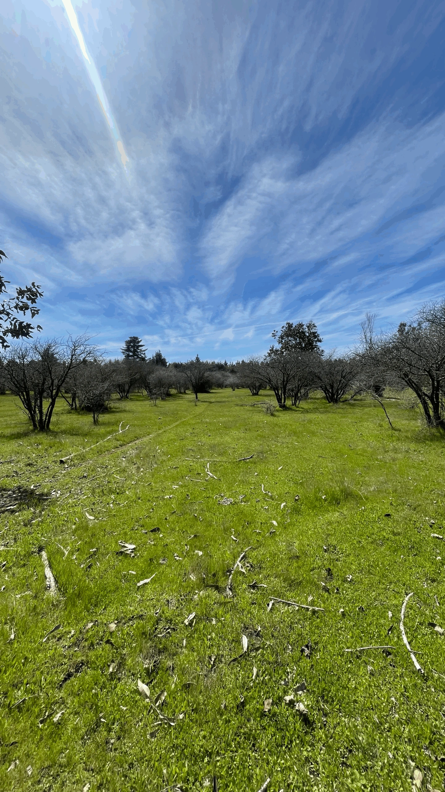Hacienda San Nicolas - imagen 6
