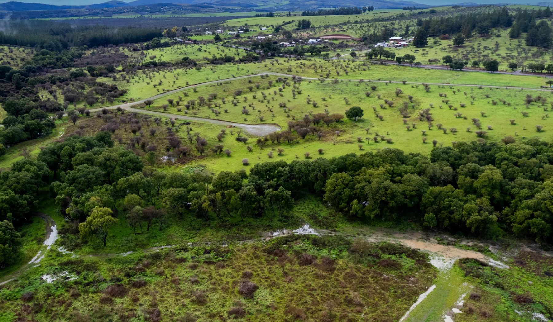 Lomas de San Nicolas - imagen 1