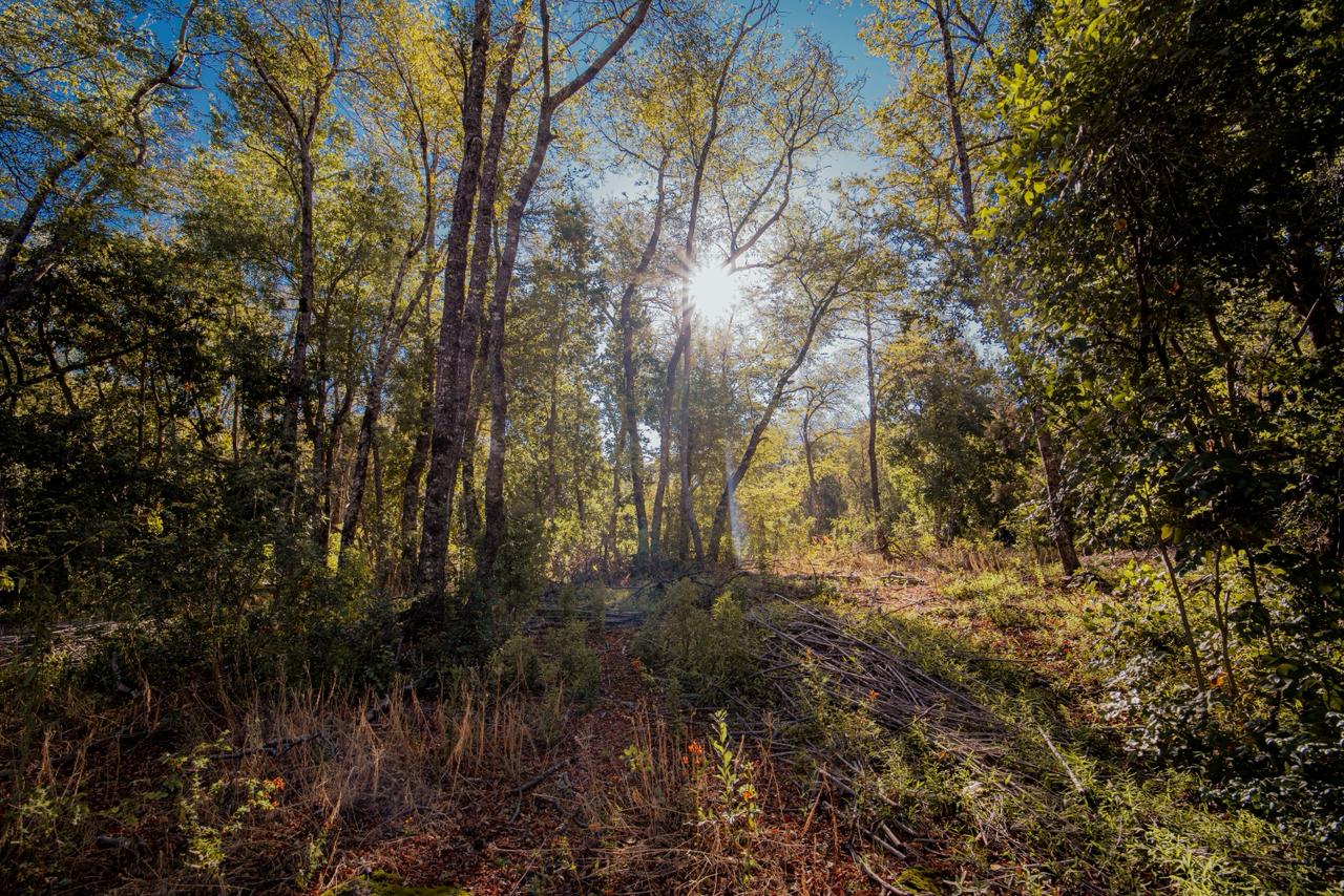 Terreno Los Lleuques - imagen 1