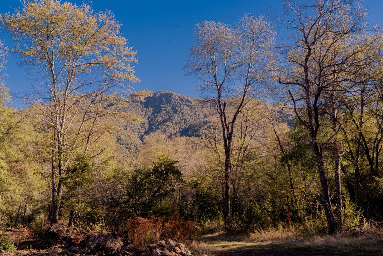 Terreno Los Lleuques - imagen 2
