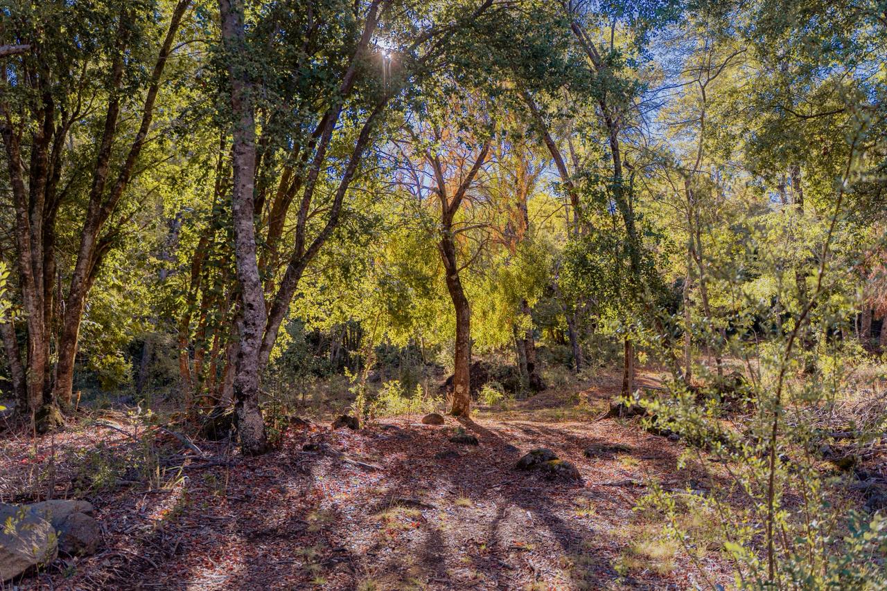 Terreno Los Lleuques - imagen 3